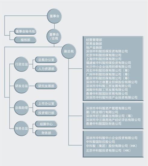 ——中科智擔保業務系統案例